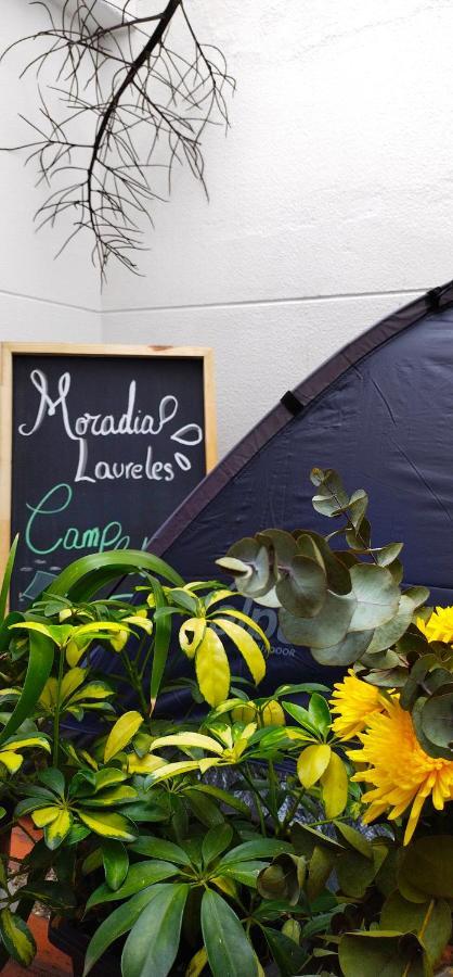 Moradia Laureles Medellin Lägenhet Exteriör bild